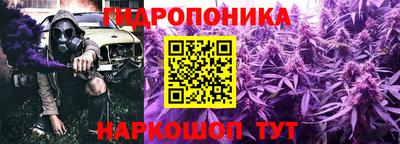 spice Ярославль