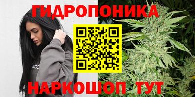 spice Ярославль