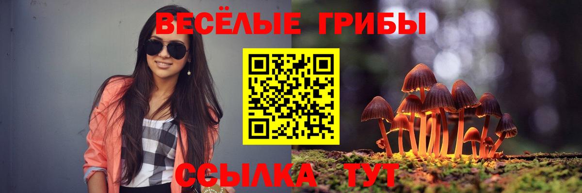 Борисоглебск  Галлюциногенные грибы мухоморы  Вход с VPN 